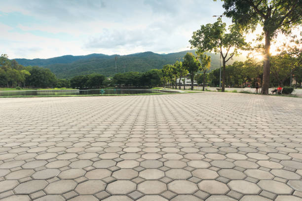 Best Driveway Pavers Contractor  in Plainfield, IL